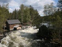 FI, Oulu, Kuusamo, Oulanka 9, Saxifraga-Dirk Hilbers